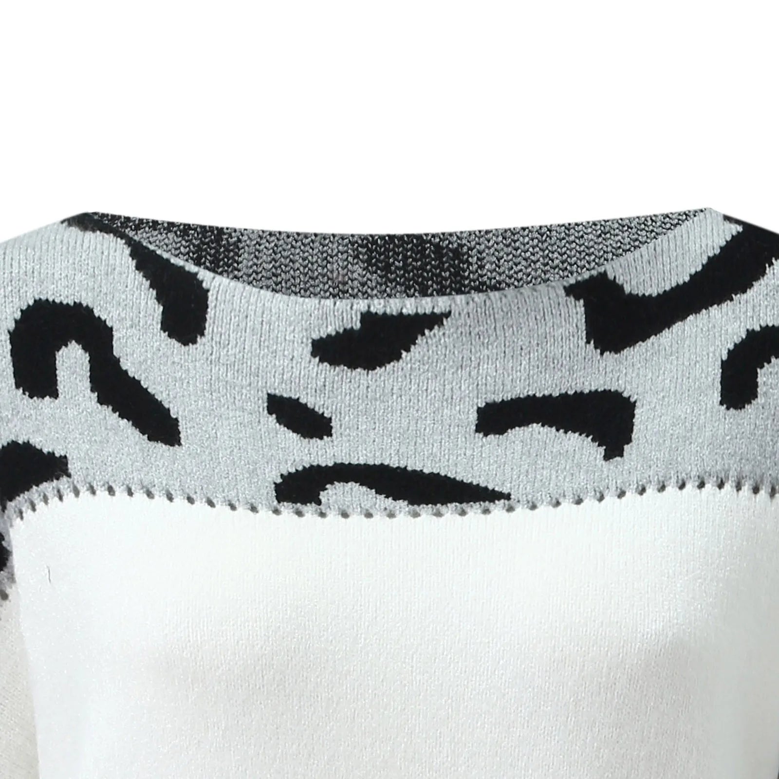 Christina | Stylish Leopard Colorblock Sweater - Solfae
